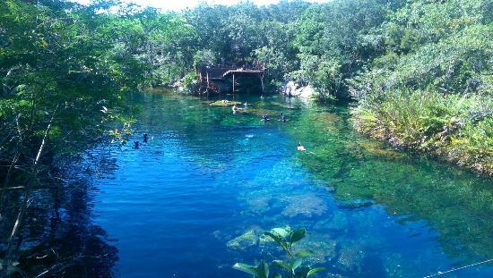 Dolphinaris Riviera Maya Park